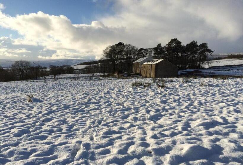 Dale House Barn And B&b