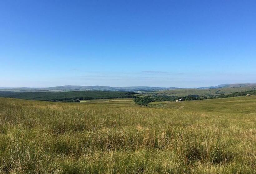 Dale House Barn And B&b