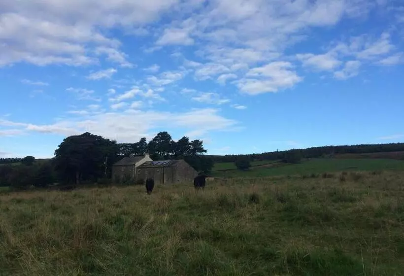 Dale House Barn And B&b