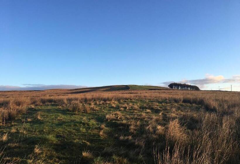 Dale House Barn And B&b