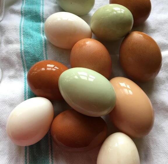 Dale House Barn And B&b