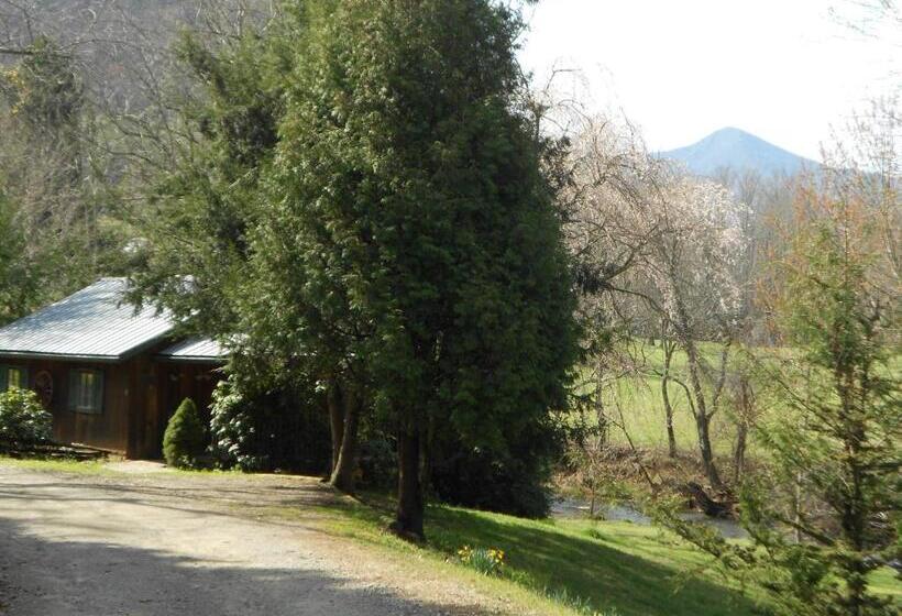 汽车旅馆 Mountain Springs Cabins