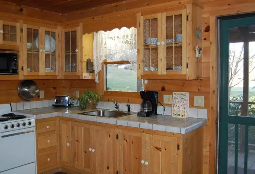 Motelli Mountain Springs Cabins