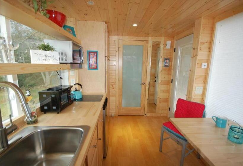 汽车旅馆 Mountain Springs Cabins