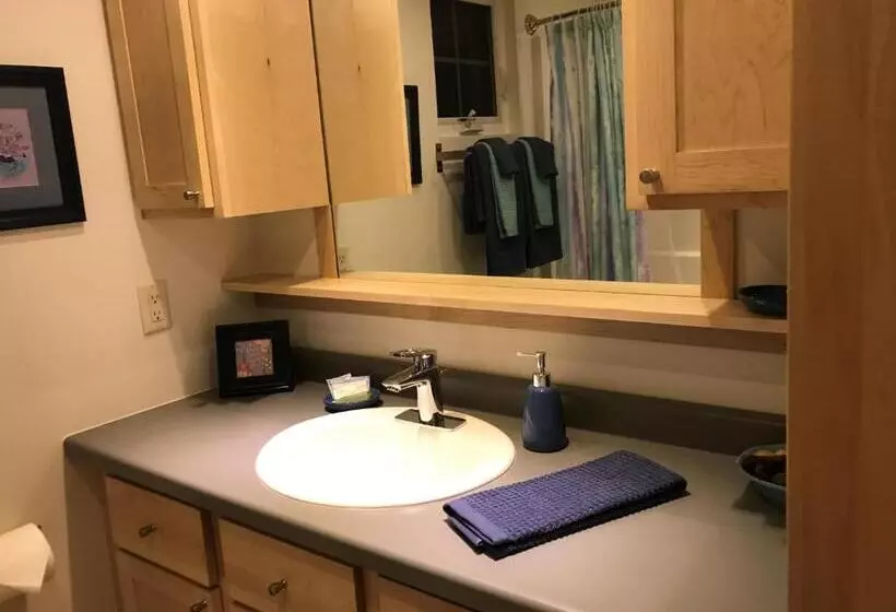 Motelli Mountain Springs Cabins