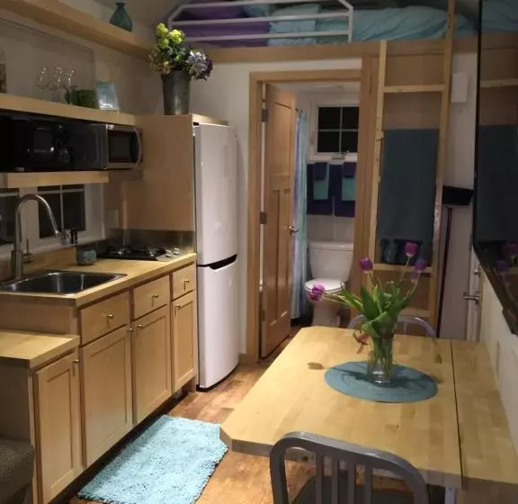 Motelli Mountain Springs Cabins