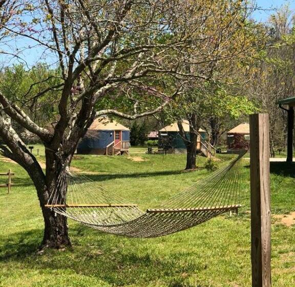 汽车旅馆 Mountain Springs Cabins