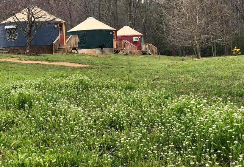 汽车旅馆 Mountain Springs Cabins