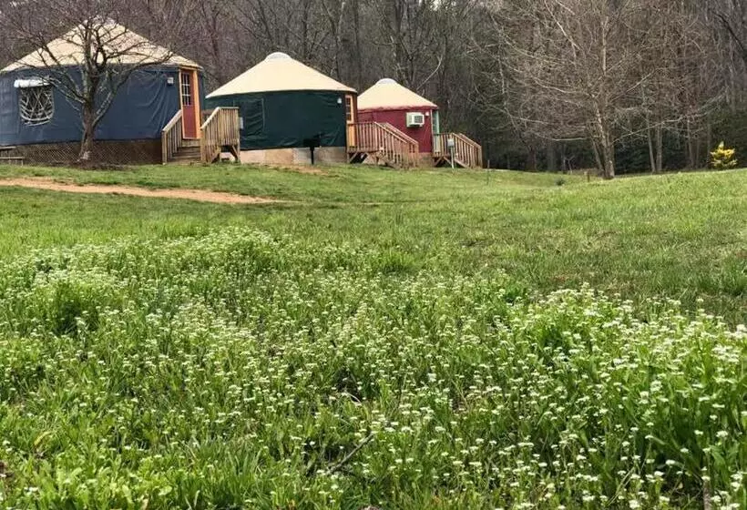 Motelli Mountain Springs Cabins