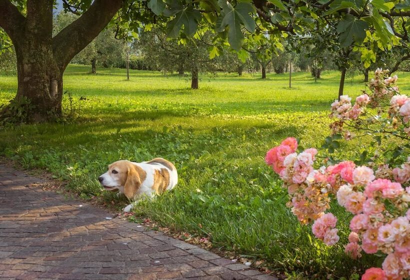 בית מלון כפרי O_live Agriresort