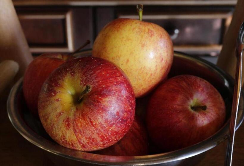 膳宿费 Pousada Rural Vista Alegre