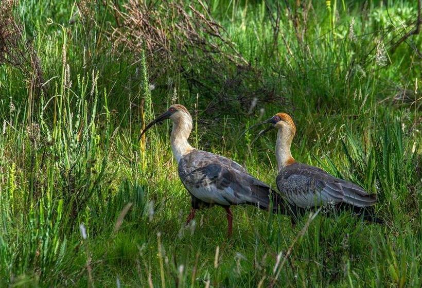 膳宿费 Pousada Rural Vista Alegre