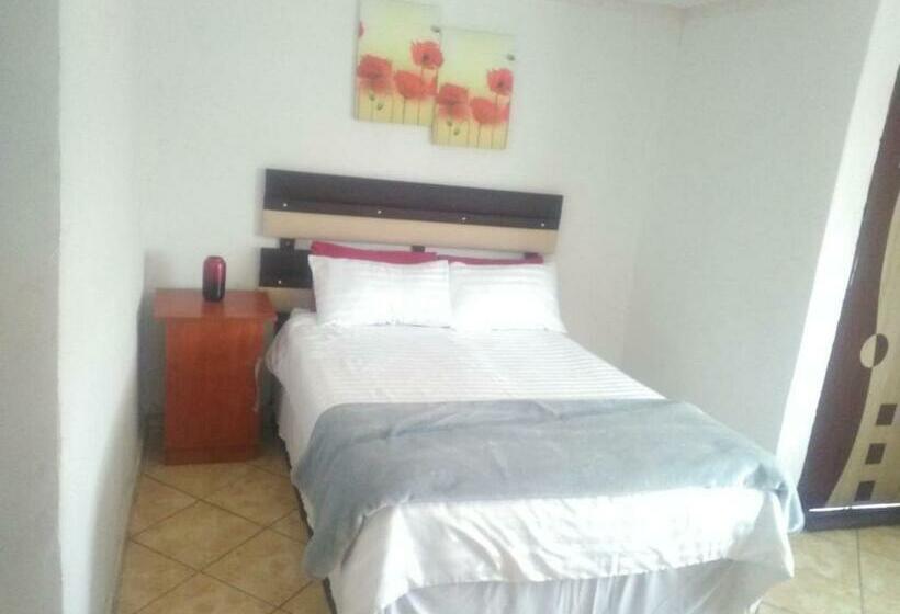 بنسيون Thatontle