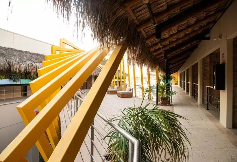 هاستل Mayan Monkey Los Cabos   Adults Only