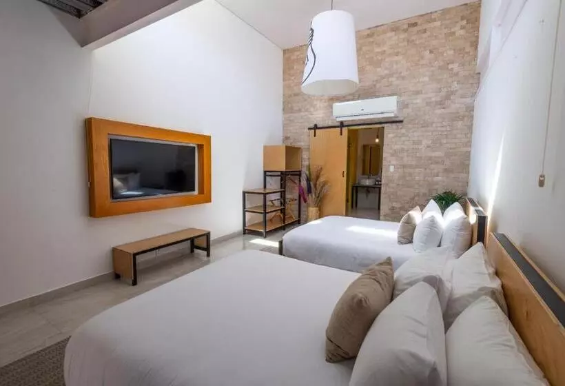 هاستل Mayan Monkey Los Cabos   Adults Only