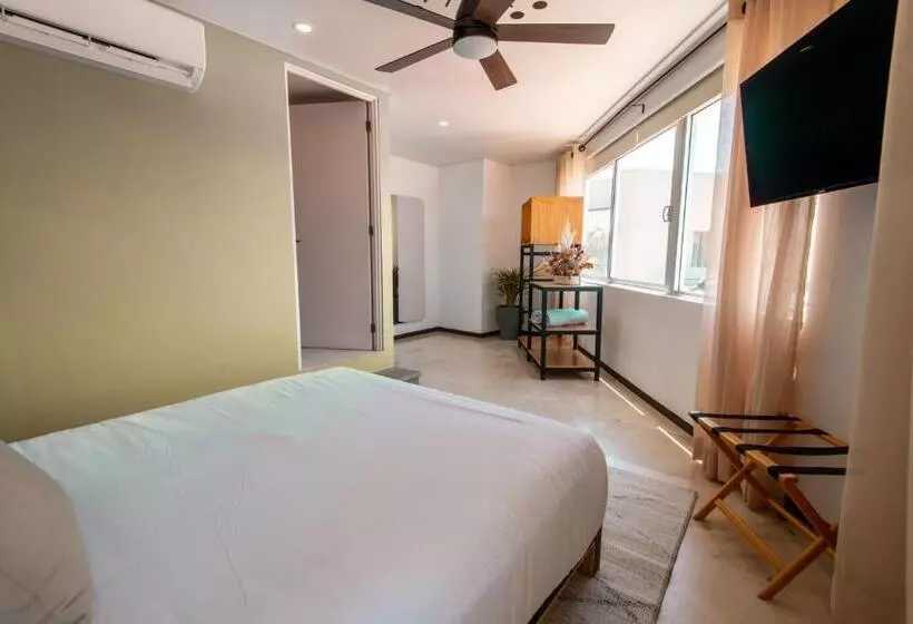 هاستل Mayan Monkey Los Cabos   Adults Only