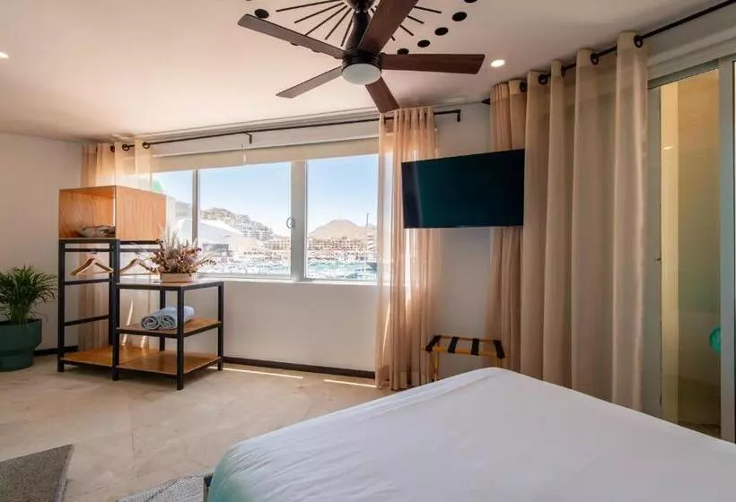 هاستل Mayan Monkey Los Cabos   Adults Only