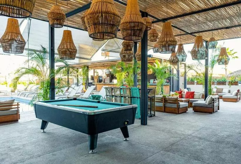 هاستل Mayan Monkey Los Cabos   Adults Only