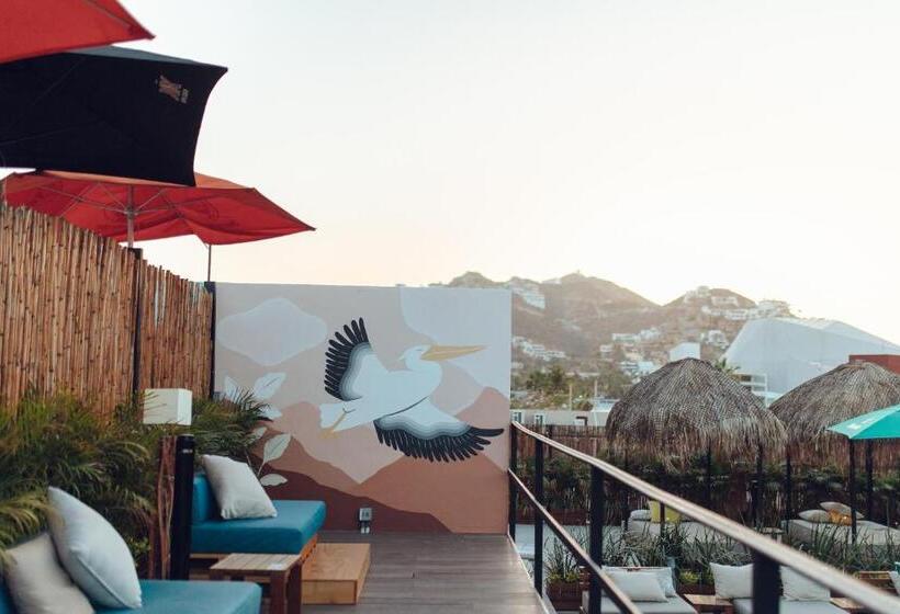 Schronisko Mayan Monkey Los Cabos   Adults Only