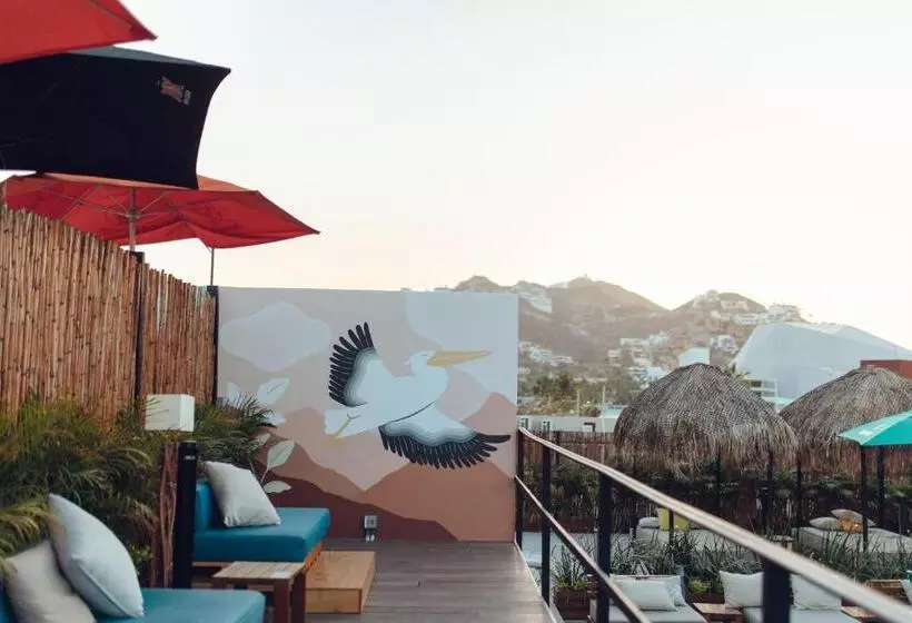 هاستل Mayan Monkey Los Cabos   Adults Only