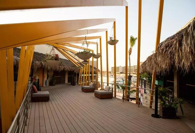 هاستل Mayan Monkey Los Cabos   Adults Only