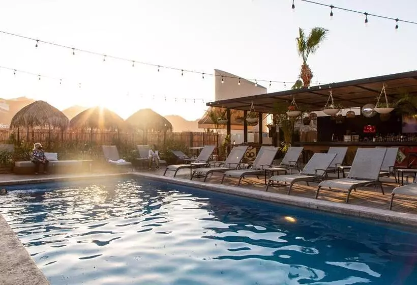 هاستل Mayan Monkey Los Cabos   Adults Only