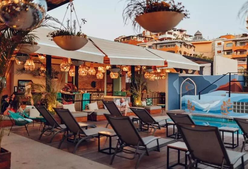 هاستل Mayan Monkey Los Cabos   Adults Only
