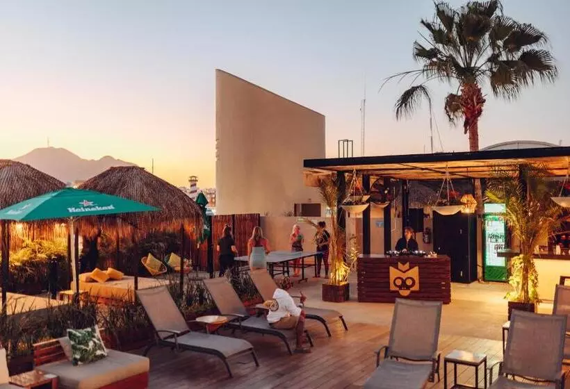 هاستل Mayan Monkey Los Cabos   Adults Only