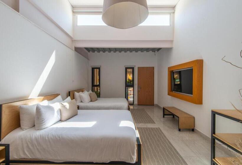 Schronisko Mayan Monkey Los Cabos   Adults Only