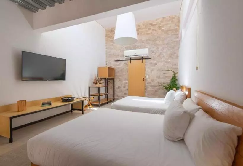 هاستل Mayan Monkey Los Cabos   Adults Only