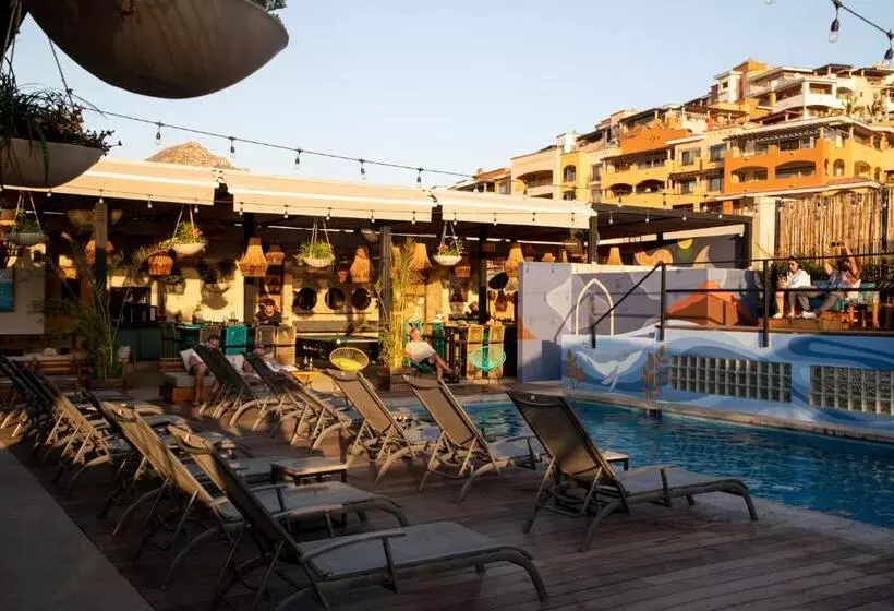 هاستل Mayan Monkey Los Cabos   Adults Only