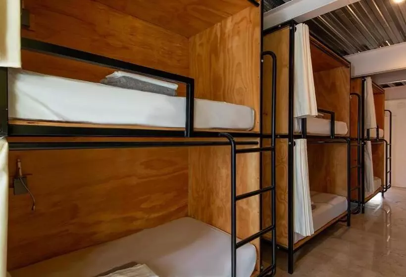 هاستل Mayan Monkey Los Cabos   Adults Only