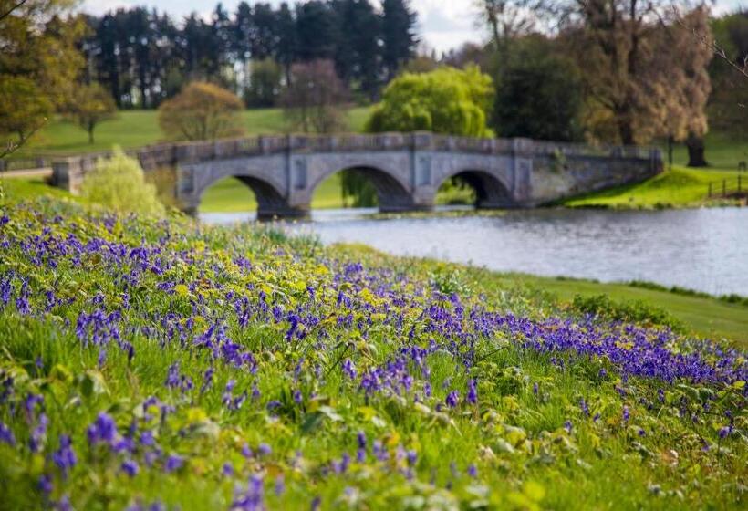 酒店 Melbourne Lodge
