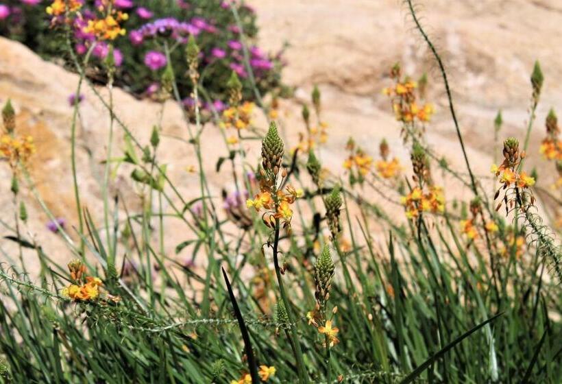 Ahr Leonis Residence La Maddalena