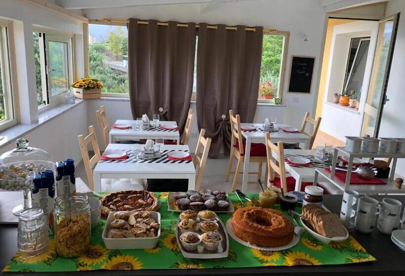 B & B Il Giardino Sul Mare