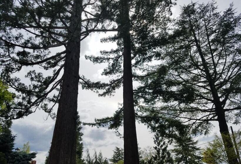 Motel Redwood Hyperion Suites