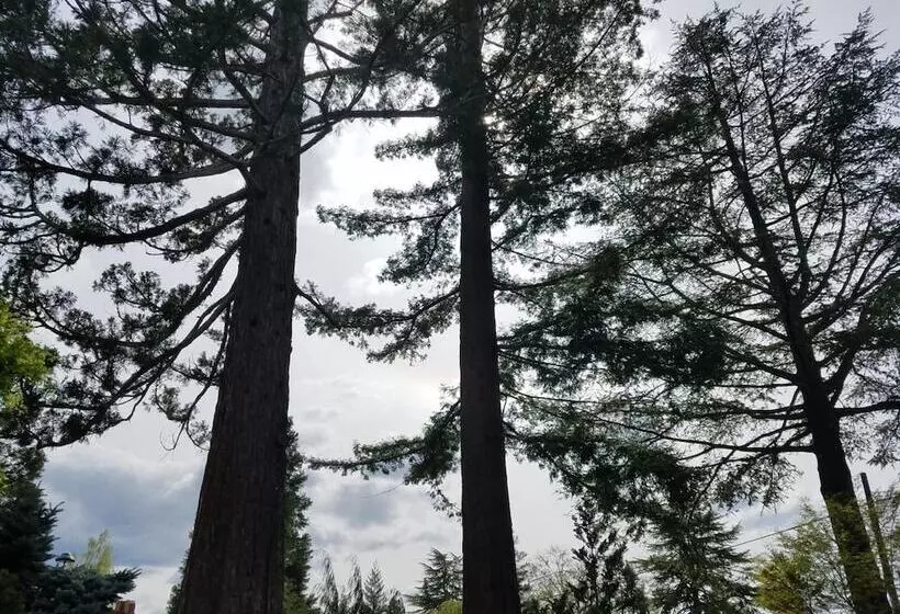 Motelli Redwood Hyperion Suites