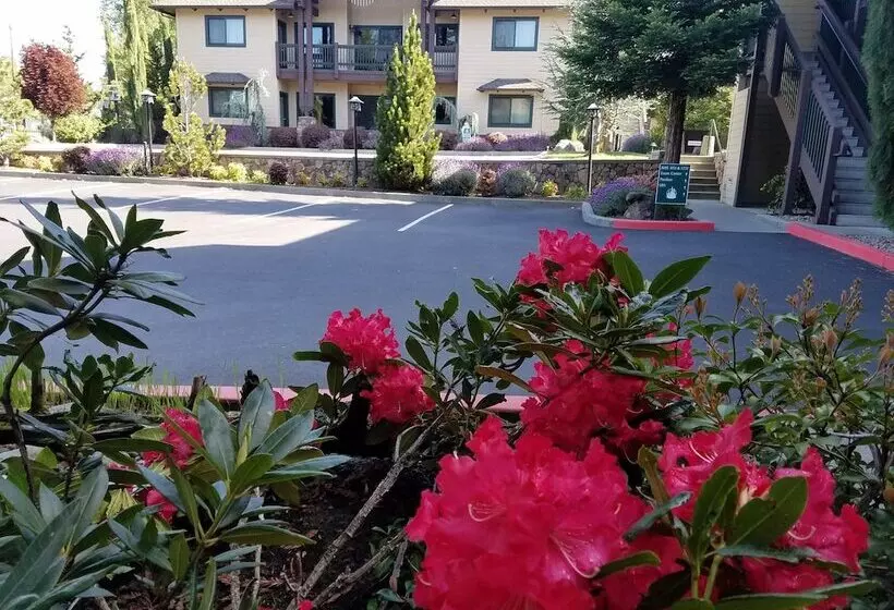 Motelli Redwood Hyperion Suites