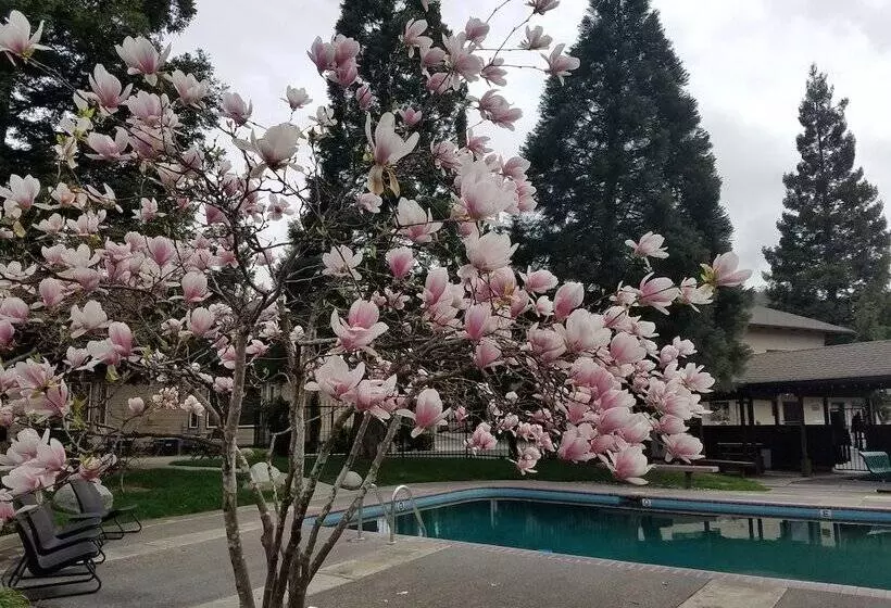 Motelli Redwood Hyperion Suites