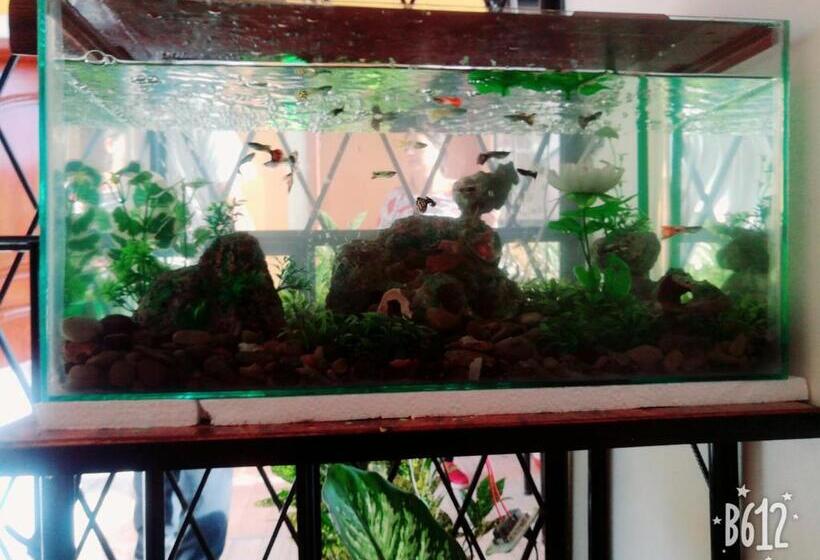 פנסיון Hostal Mariscal Sucre