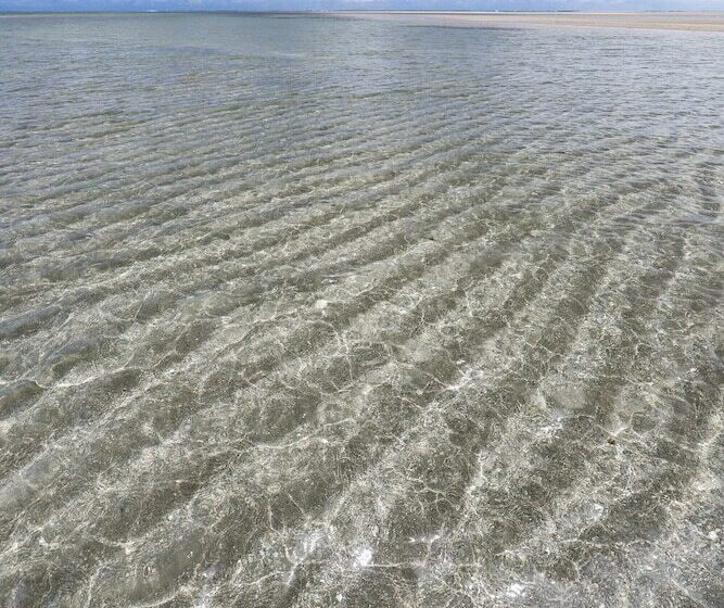 Pansiyon Pousada Tatuá