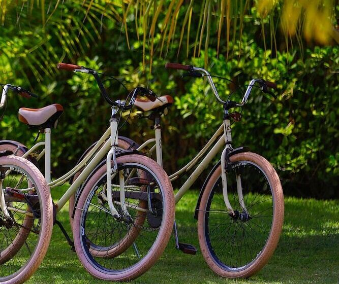 Pansiyon Pousada Tatuá