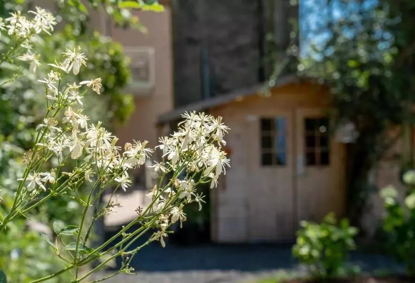 B&b La Chicca