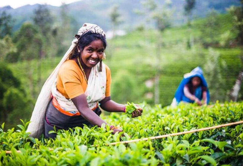 Pensionat Grand View Guest House