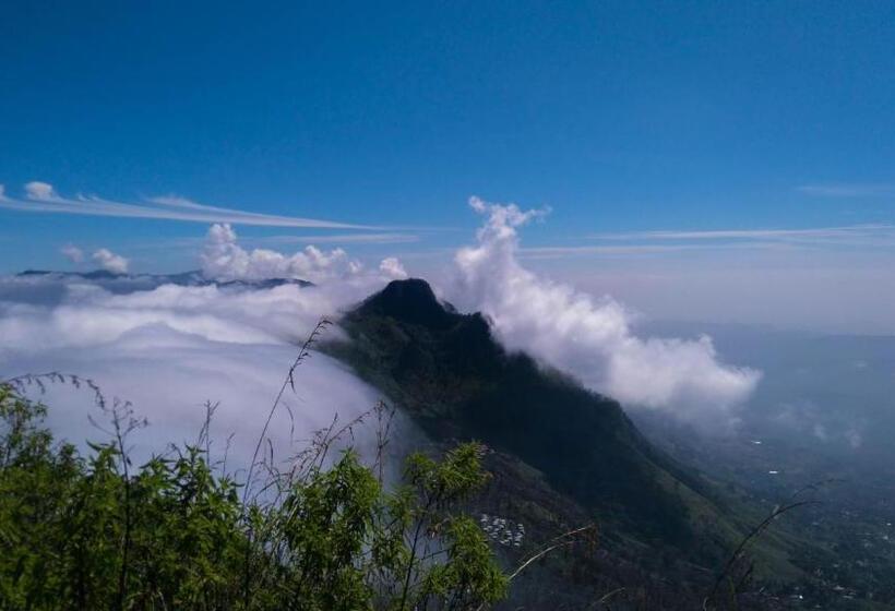 Pensionat Grand View Guest House