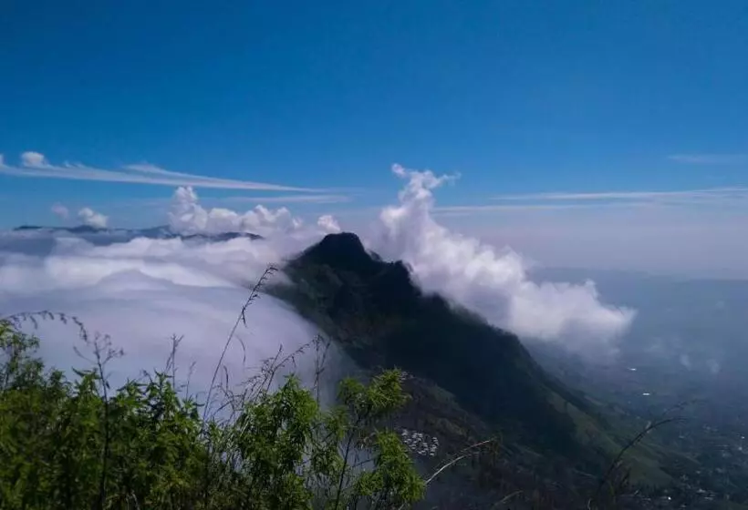 ペンション Grand View Guest House