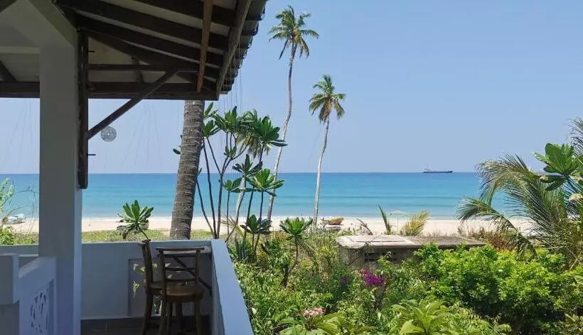 هاستل Blackstar Inn
