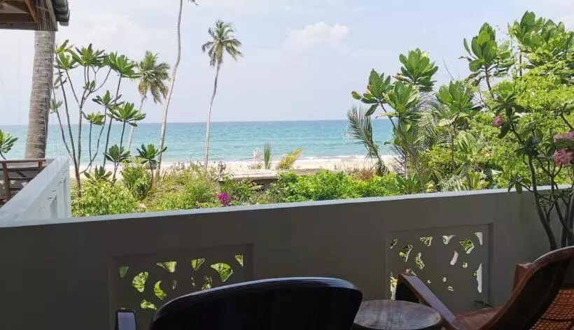 هاستل Blackstar Inn