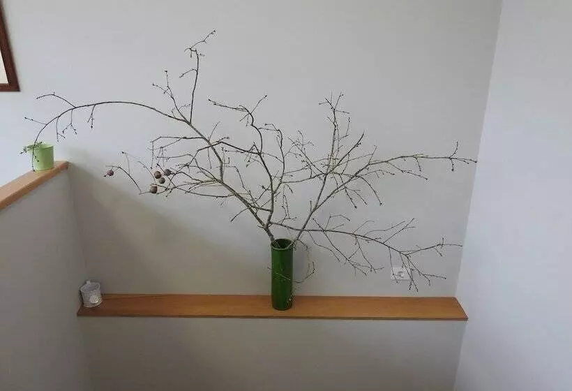 Albergue Buen Camino Tui