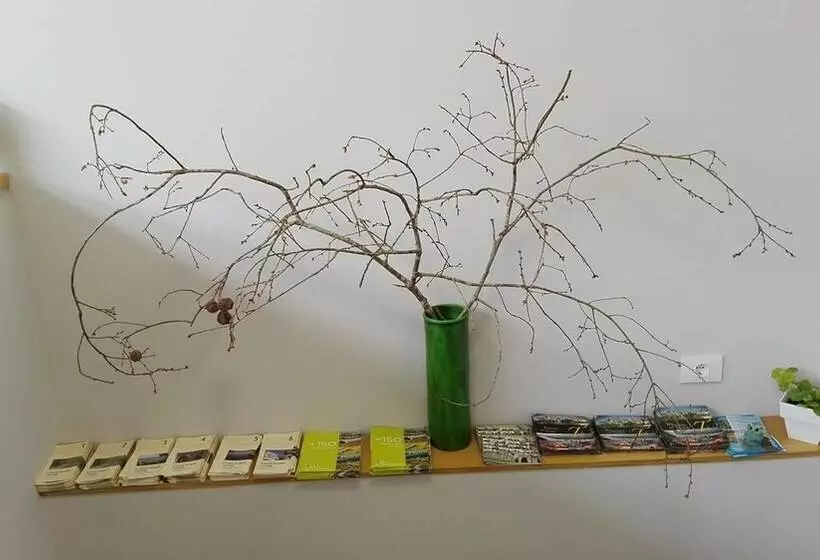 Albergue Buen Camino Tui